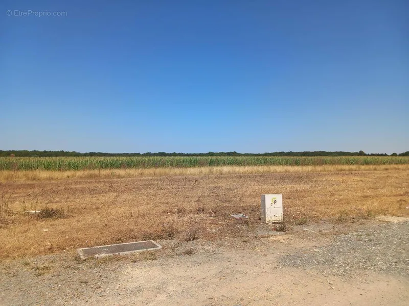 Photo Terrain à Courcon au prix de 52 000€