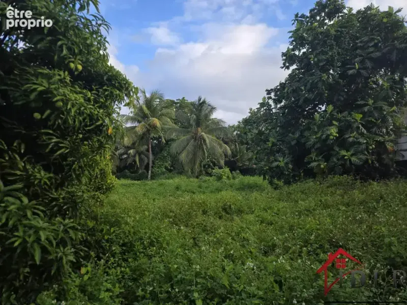 Photo Terrain à Baie-Mahault au prix de 183 000€