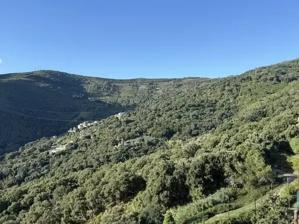 Photo Appartement à Borgo au prix de 99 000€
