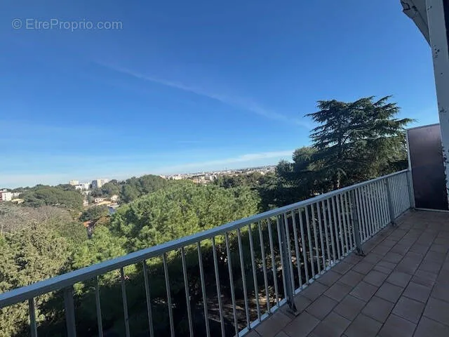 Photo Appartement à Montpellier au prix de 194 000€