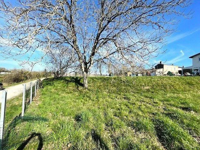 Photo Terrain à Targon au prix de 76 000€