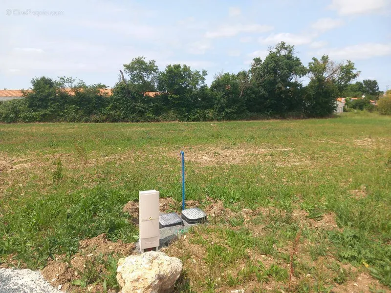 Photo Terrain à Anais au prix de 59 900€