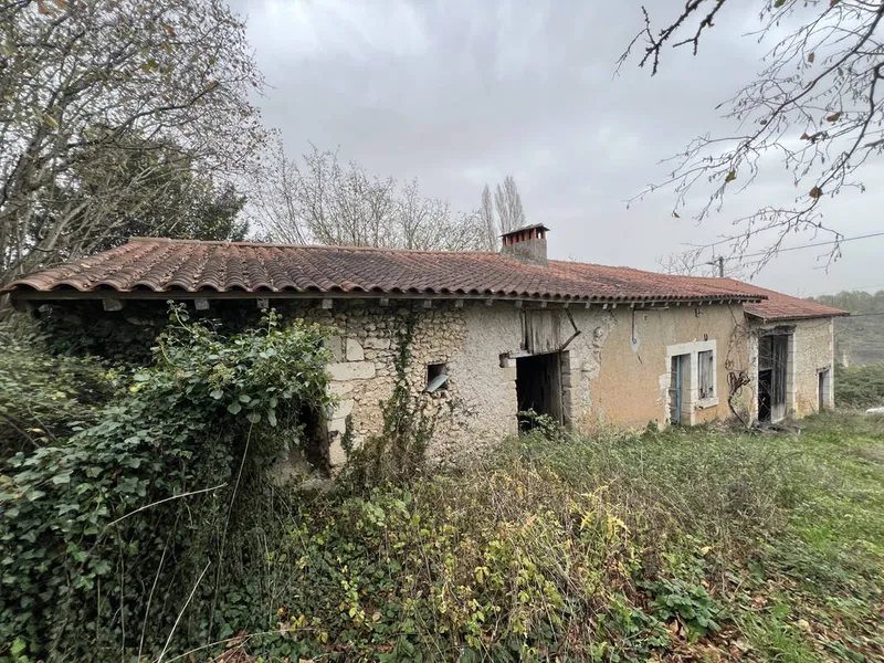 Photo Autres à Saint-Leon-Sur-L'isle au prix de 60 390€