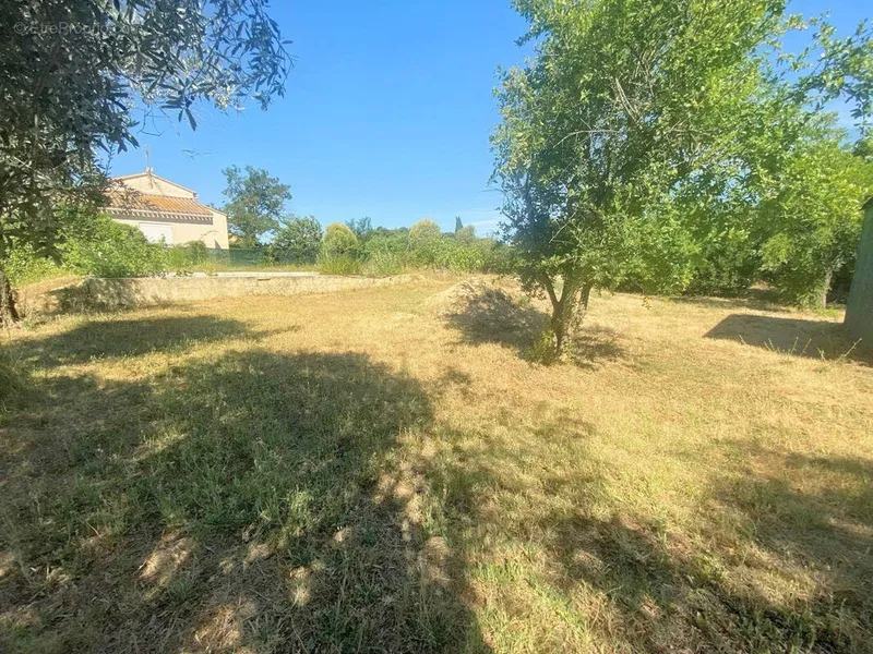 Photo Terrain à Le Cailar au prix de 145 000€