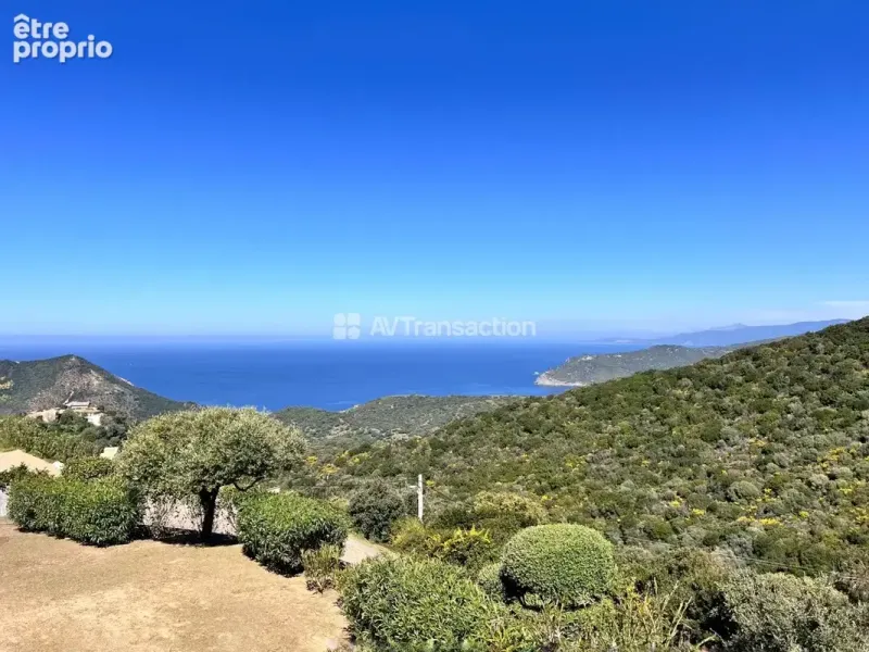 Photo Maison à Villanova au prix de 1 380 000€