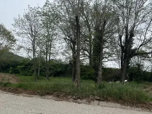 Photo Terrain à Albi au prix de 75 000€