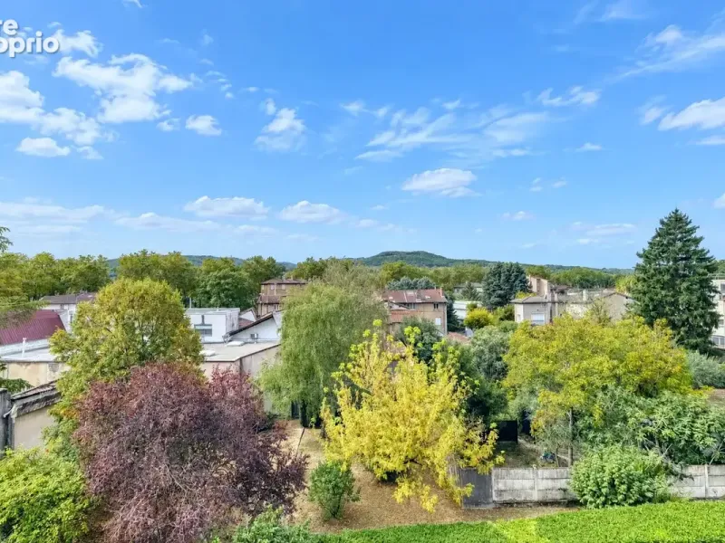 Photo Appartement à Neuville-Sur-Saone au prix de 199 000€