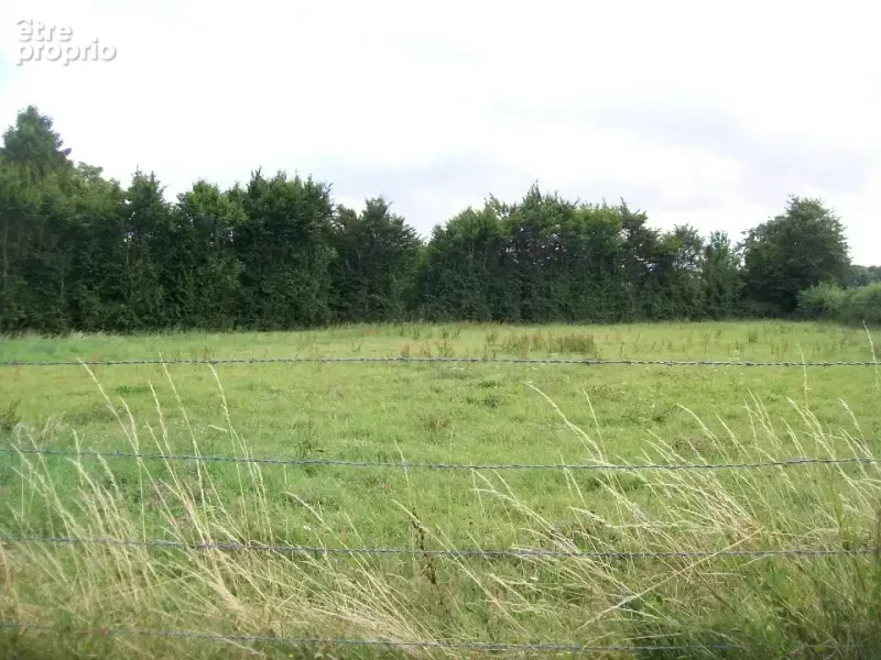 Photo Terrain à Bonlier au prix de 85 000€