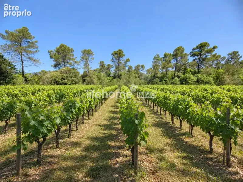 Photo Terrain à Le Luc au prix de 56 500€