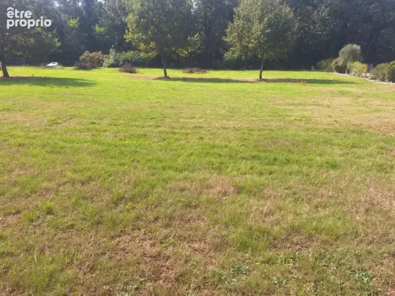 Photo Terrain à Brax au prix de 139 600€