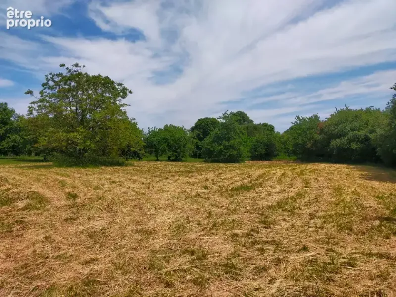 Photo Terrain à Salles-D'angles au prix de 28 000€