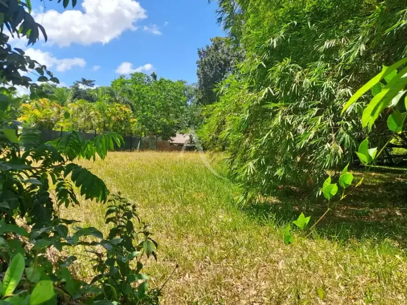 Photo Terrain à Matoury au prix de 399 000€