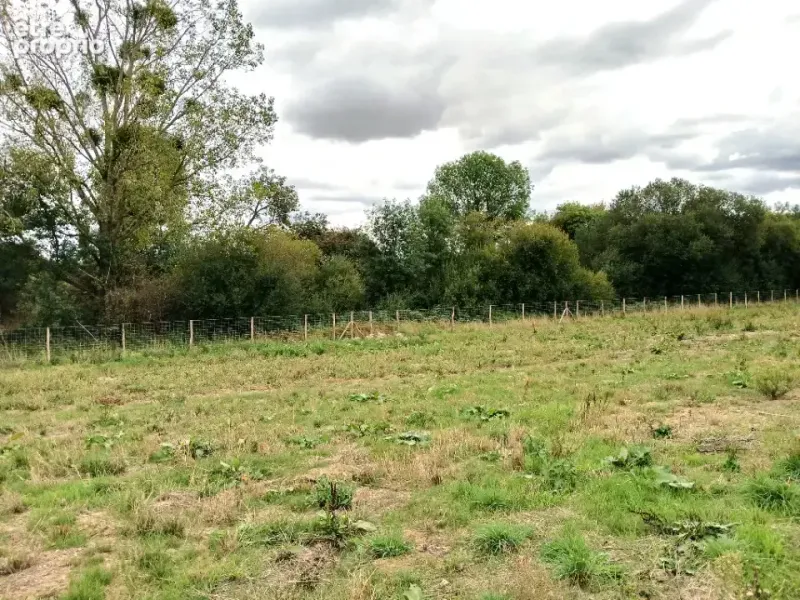 Photo Terrain à Les Herbiers au prix de 46 800€