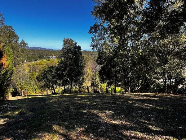 Photo Terrain à Cervione au prix de 90 000€