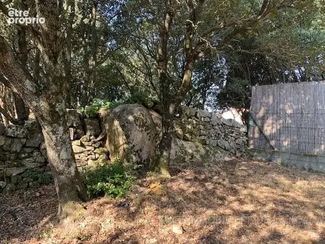 Photo Terrain à Giuncheto au prix de 129 000€