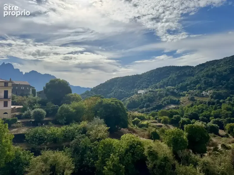 Photo Appartement à Vico au prix de 115 500€