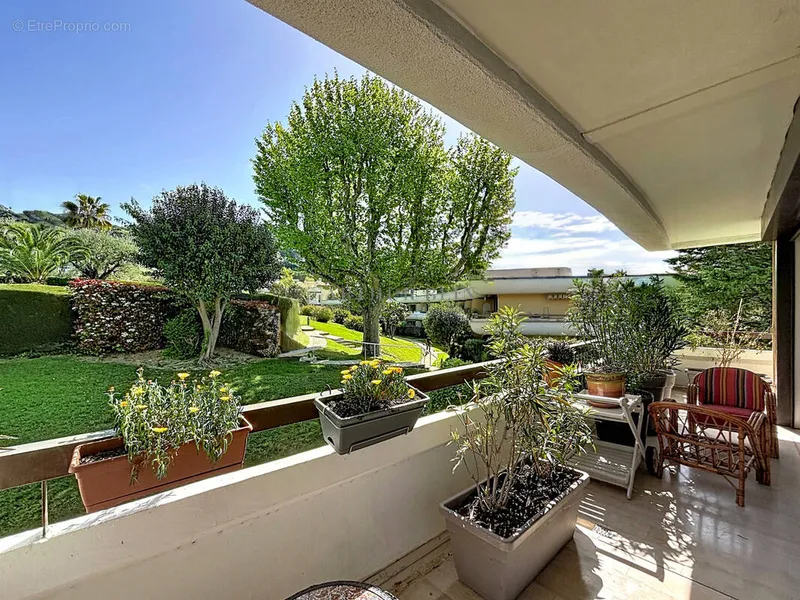 Photo Appartement à Le Cannet au prix de 499 500€