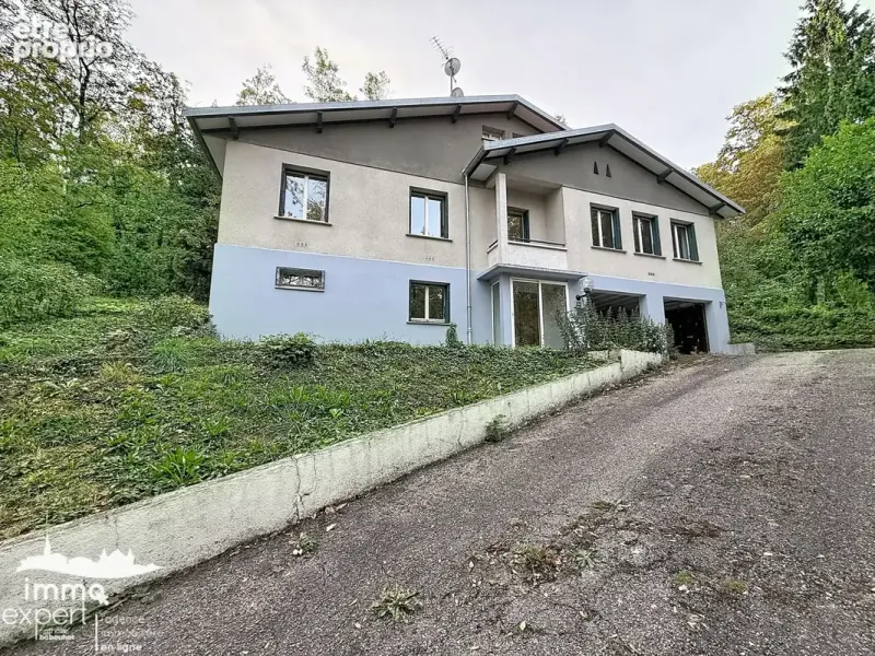Photo Maison à Mirecourt au prix de 150 000€