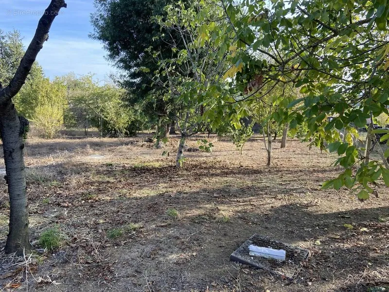 Photo Terrain à Gaillac au prix de 45 000€