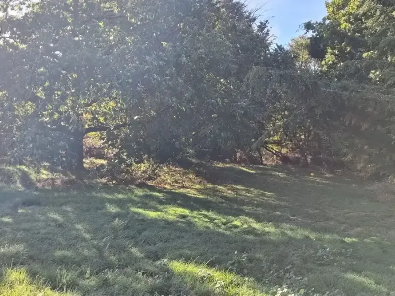 Photo Terrain à Saint-Julien-Des-Landes au prix de 134 000€