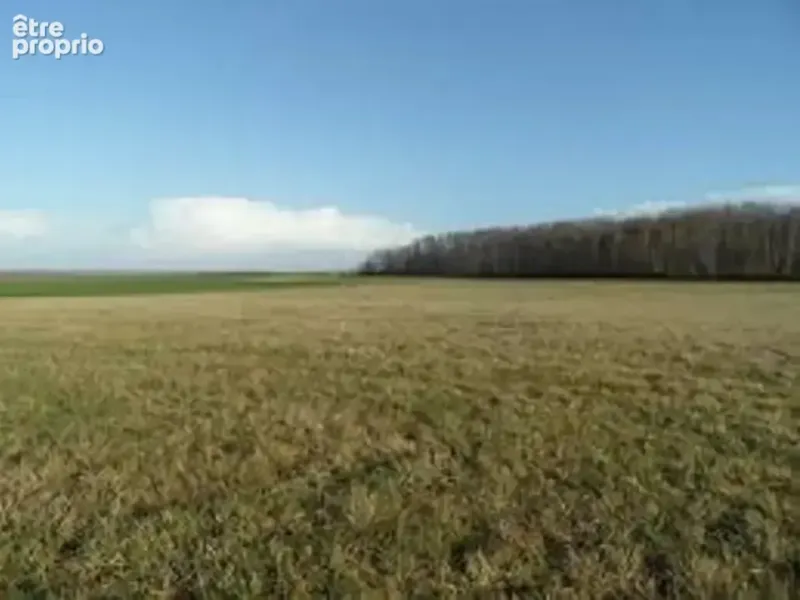 Photo Terrain à Nery au prix de 120 000€