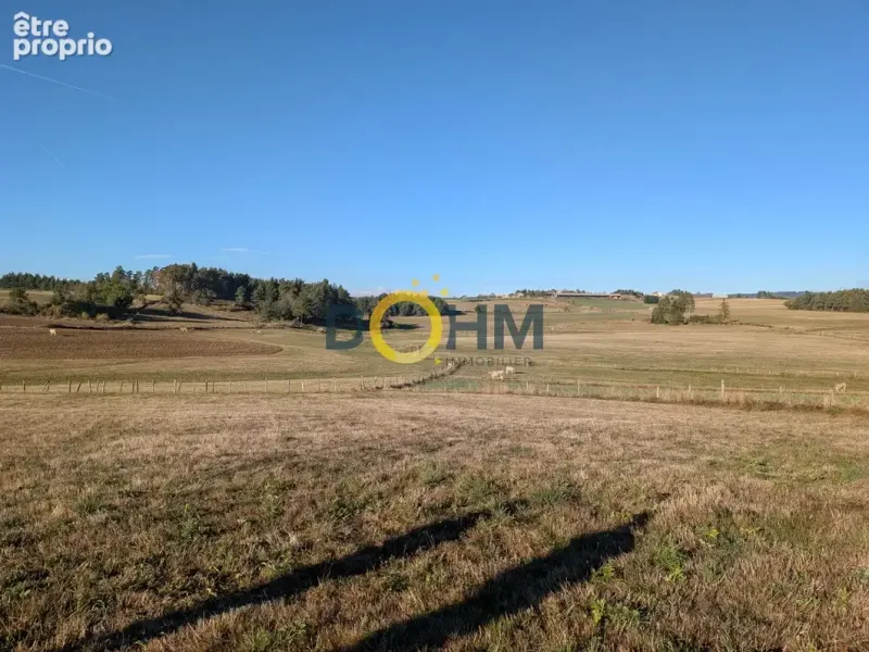 Photo Terrain à Saint-Pal-De-Chalencon au prix de 59 000€