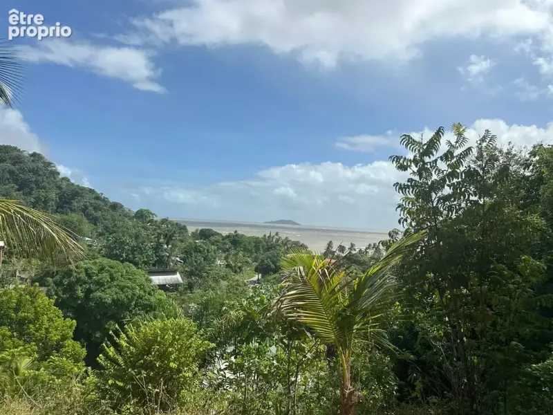 Photo Terrain à Cayenne au prix de 228 800€