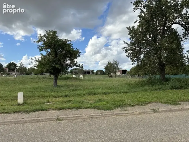 Photo Terrain à Vezet au prix de 28 775€