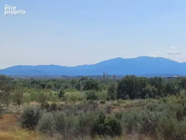Photo Terrain à Perpignan au prix de 134 900€