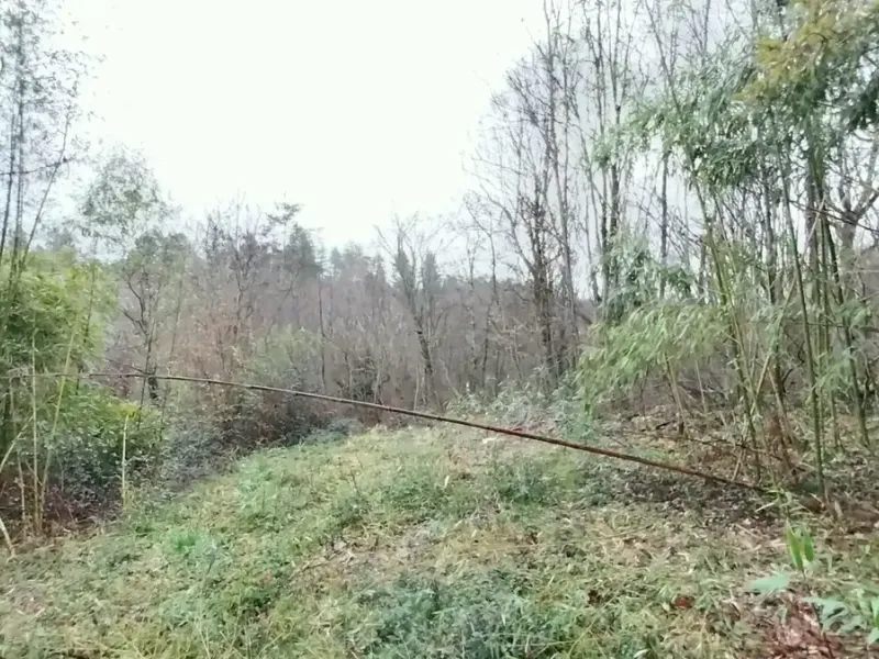 Photo Terrain à Boulazac au prix de 30 000€
