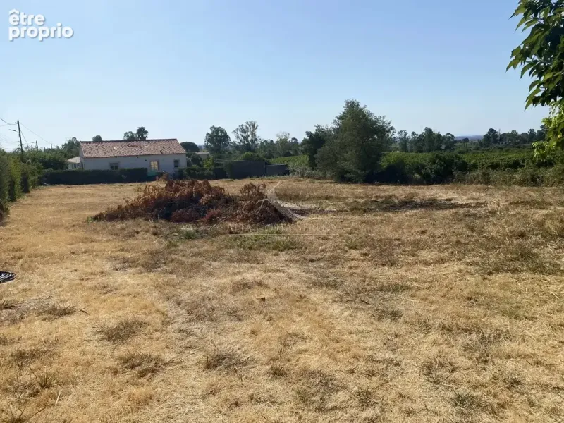 Photo Terrain à Pietroso au prix de 100 000€