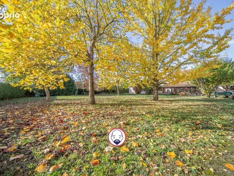 Photo Maison à Sorcy-Saint-Martin au prix de 262 000€