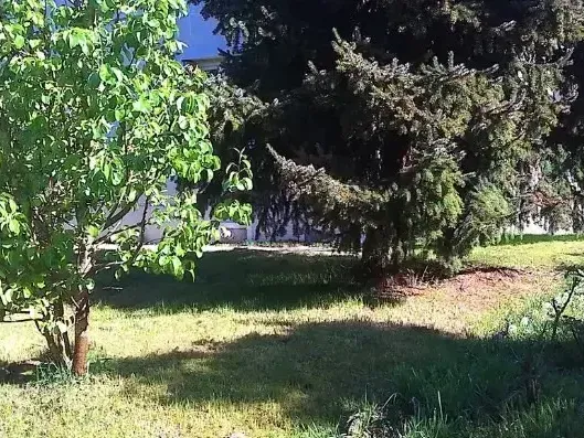 Photo Terrain à Ris-Orangis au prix de 197 000€