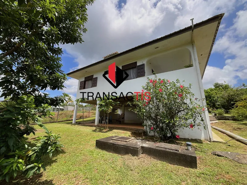 Photo Maison à Matoury au prix de 325 000€