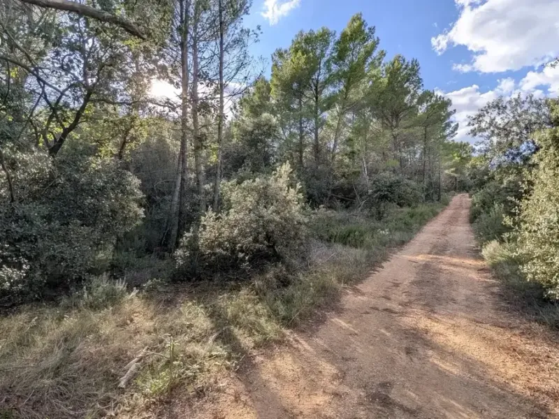Photo Terrain à Salernes au prix de 17 000€