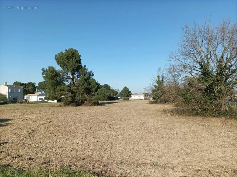 Photo Terrain à Saint-Augustin au prix de 92 000€