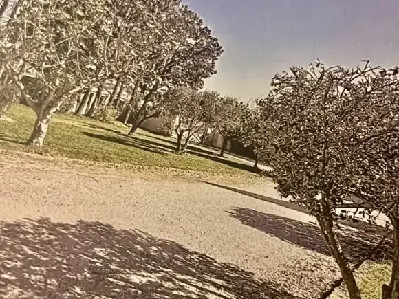 Photo Terrain à Senas au prix de 191 000€