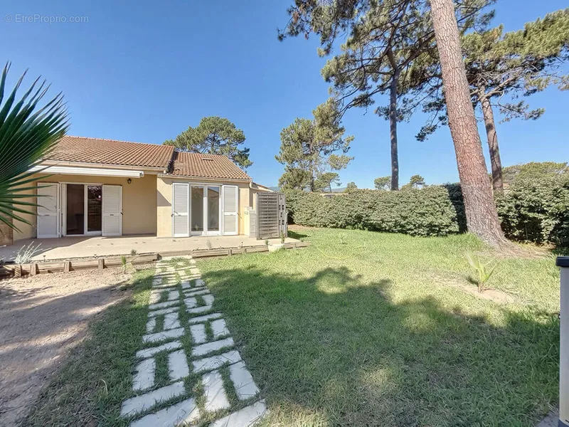 Photo Appartement à Borgo au prix de 310 000€
