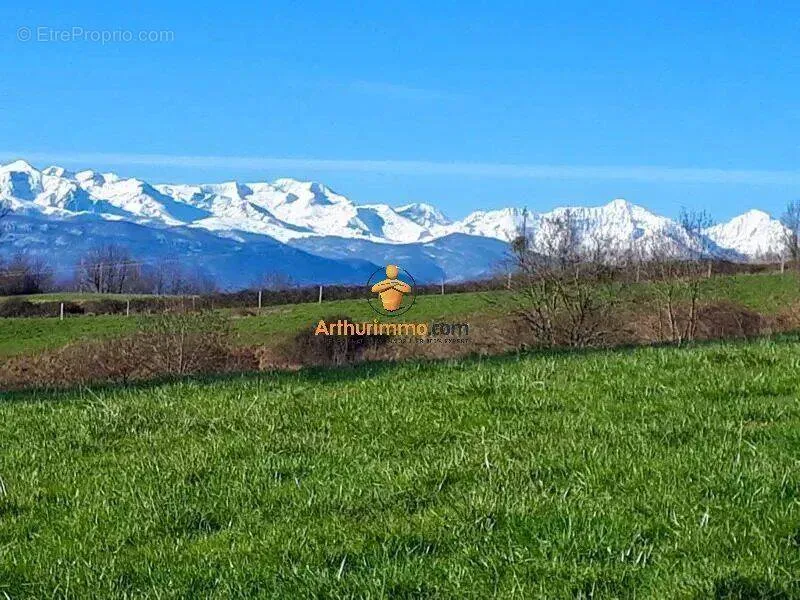 Photo Terrain à Mascaras au prix de 161 000€
