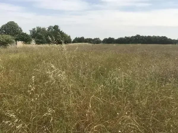Photo Terrain à Graulhet au prix de 36 000€