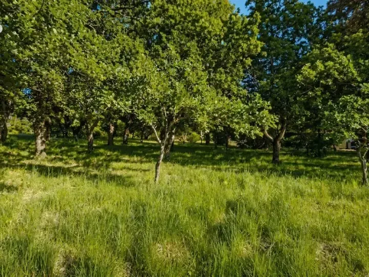 Photo Terrain à Le Poet-Laval au prix de 145 000€