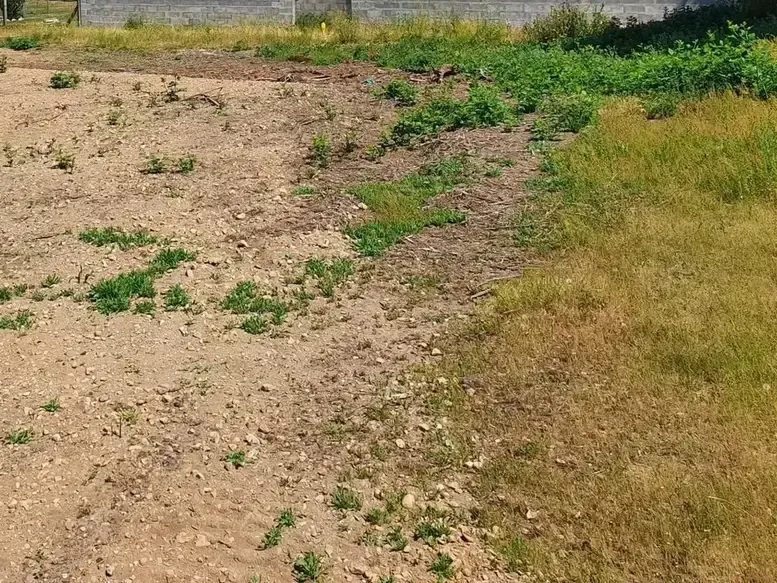 Photo Terrain à Labarde au prix de 135 000€