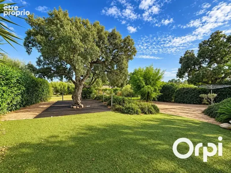 Photo Maison à Lecci au prix de 336 000€