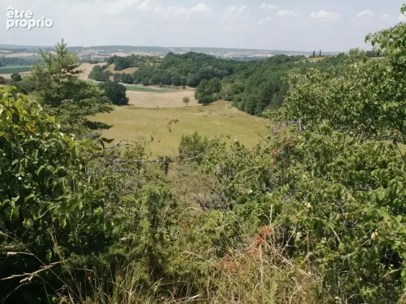 Photo Terrain à Saint-Paul-Lizonne au prix de 40 000€