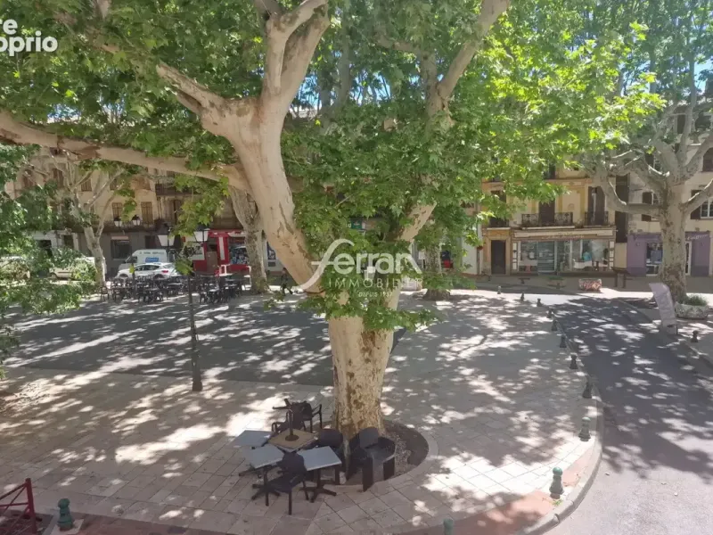 Photo Appartement à Salernes au prix de 95 000€