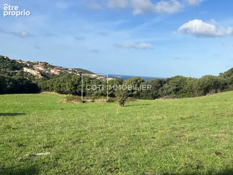 Photo Terrain à Propriano au prix de 220 000€