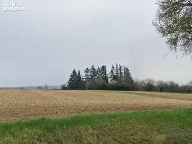 Photo Terrain à Vouzeron au prix de 25 000€