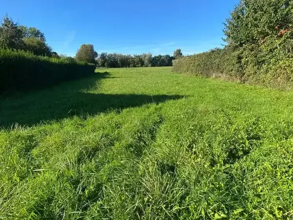 Photo Terrain à Andres au prix de 95 400€