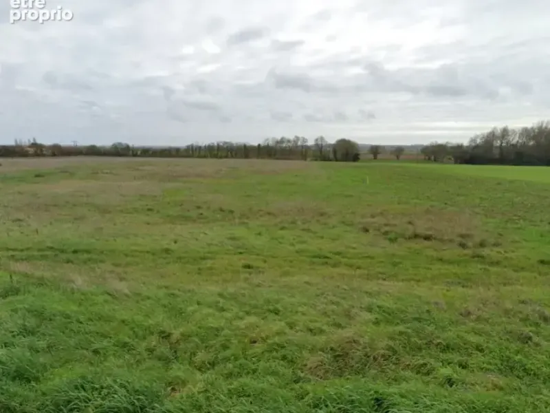 Photo Terrain à Muron au prix de 96 900€