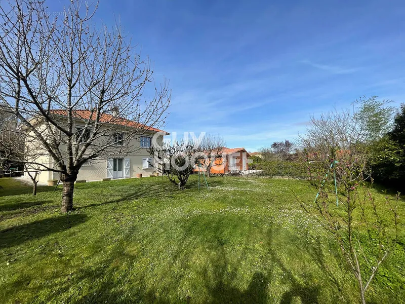 Photo Maison à Cornebarrieu au prix de 335 000€